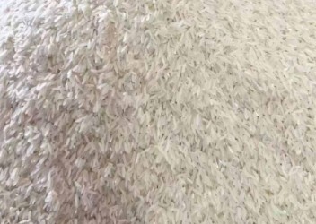 大米 虾田稻丰两优香米